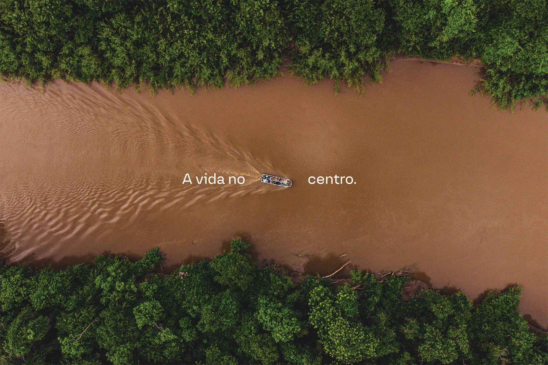 Identidade visual da Biomas Ecossistemas