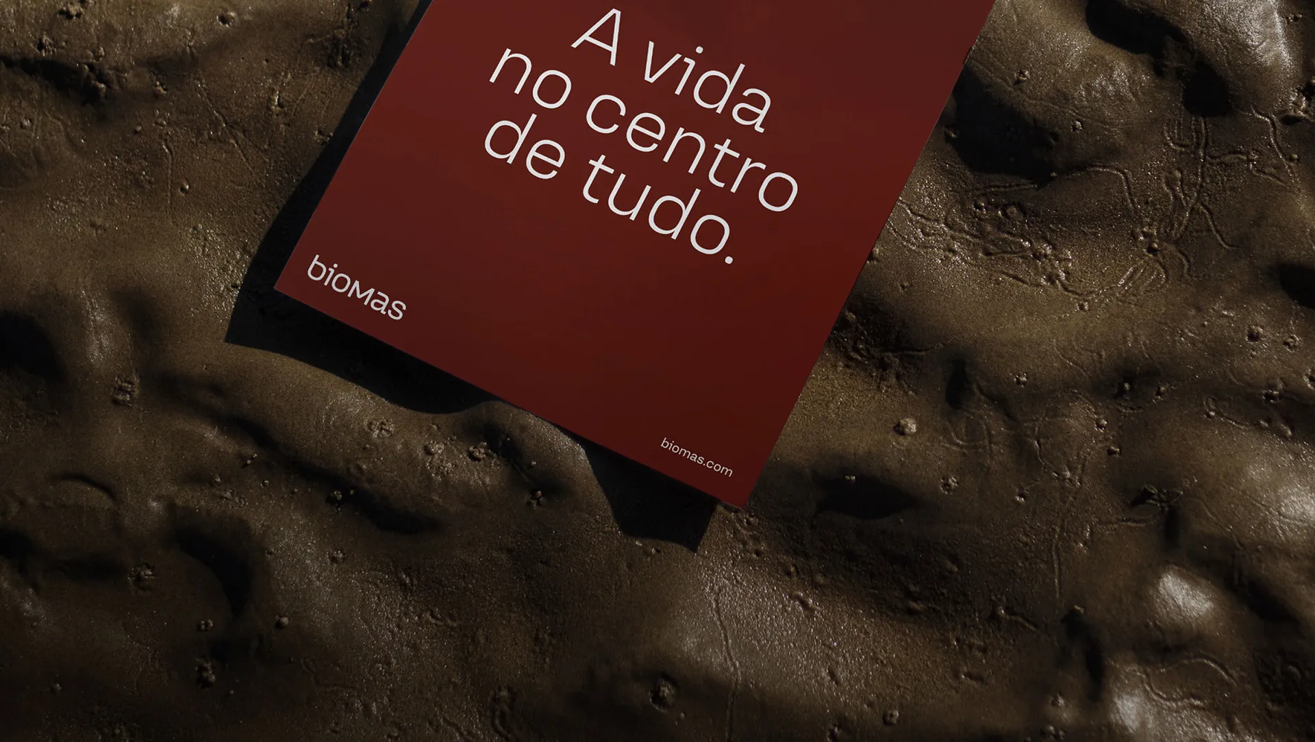 Sistema gráfico para marca de regeneração ambiental Biomas