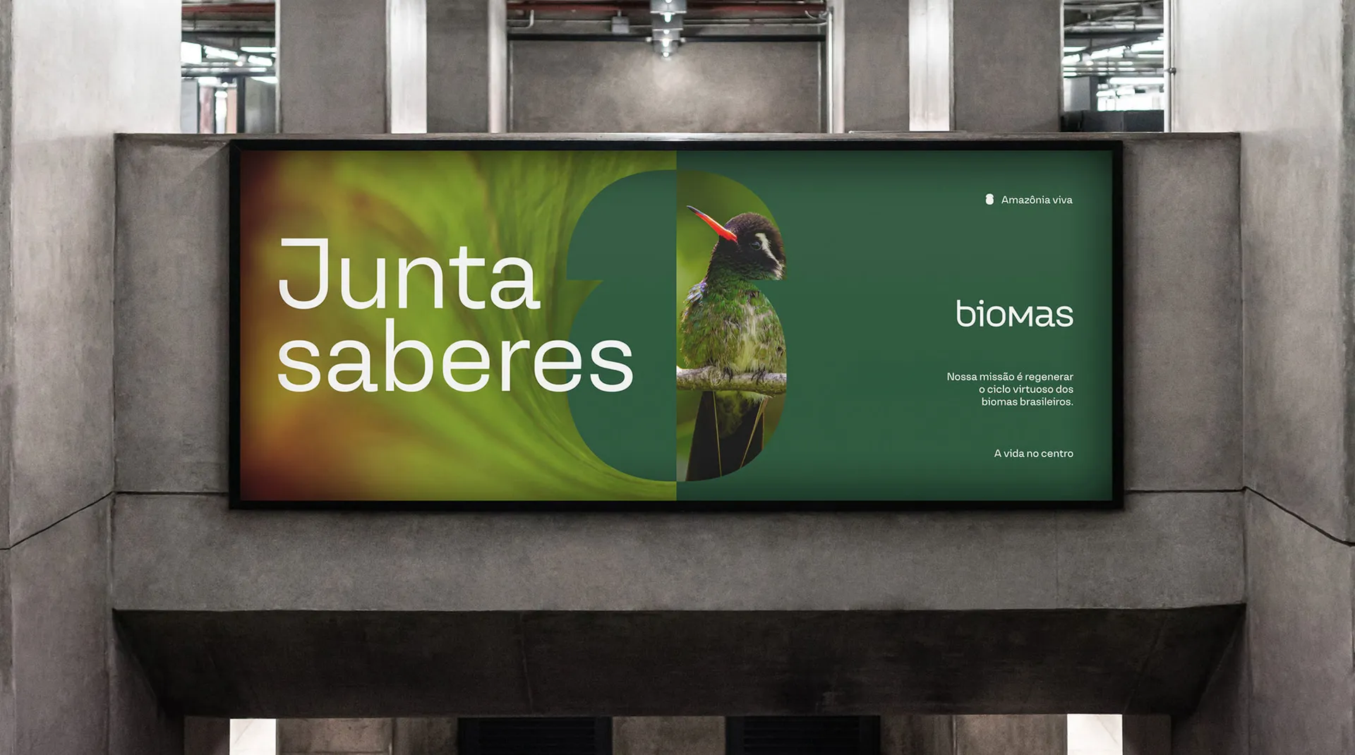 Aplicação visual da identidade Biomas Ecossistemas